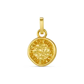 LUXE Coin Charm